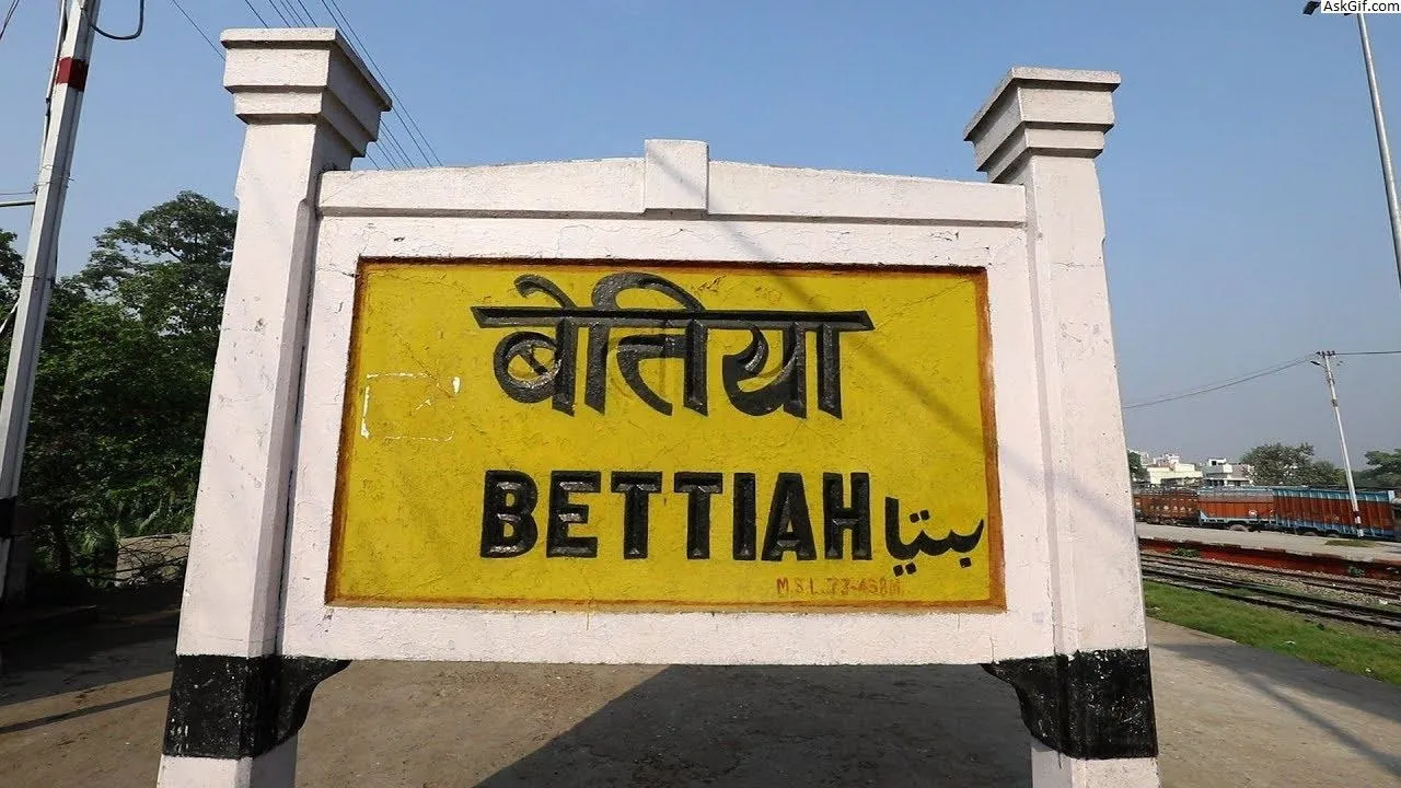 Chartered Commerce Bettiah Coaching